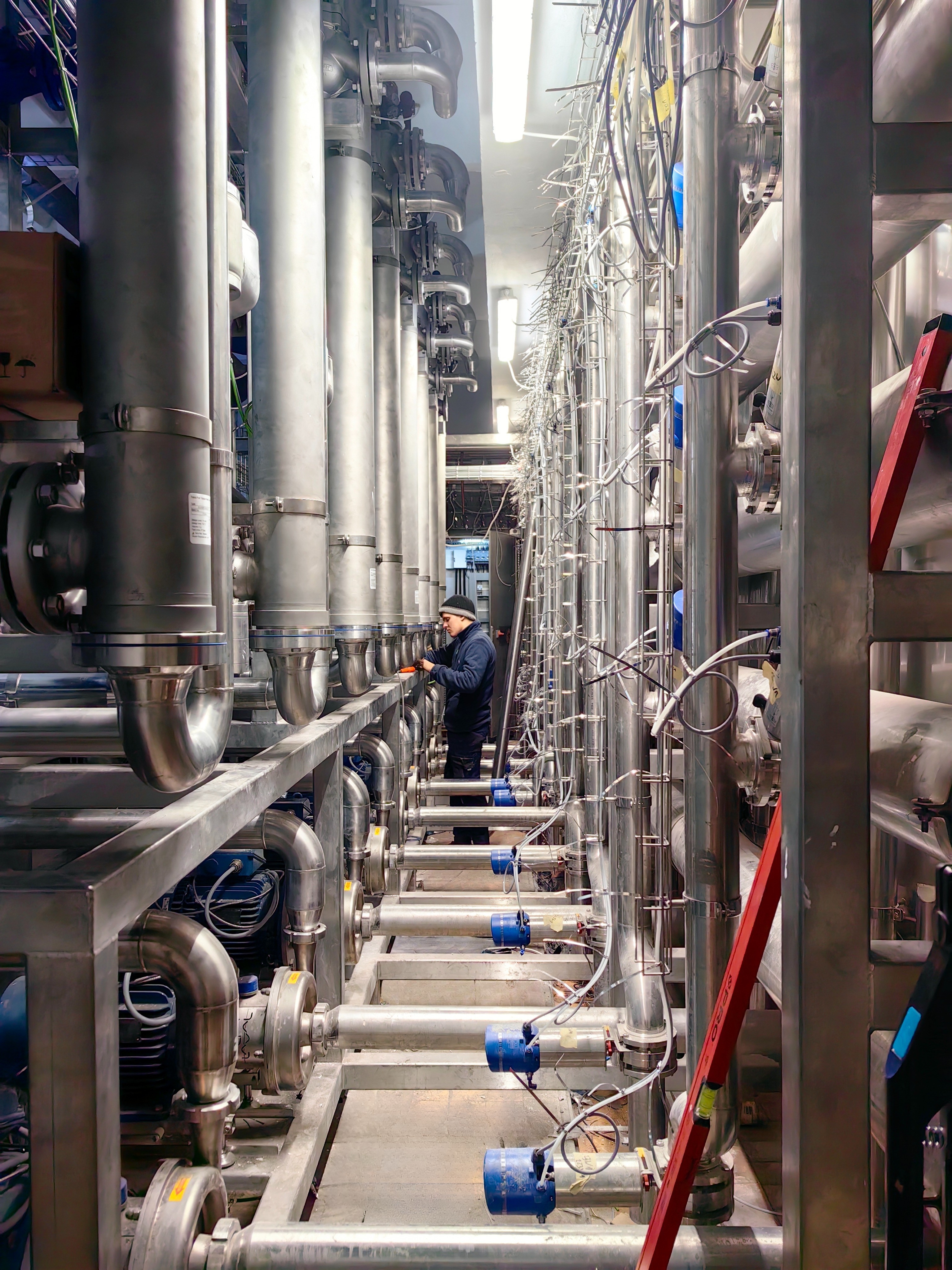 przemysł mleczarski